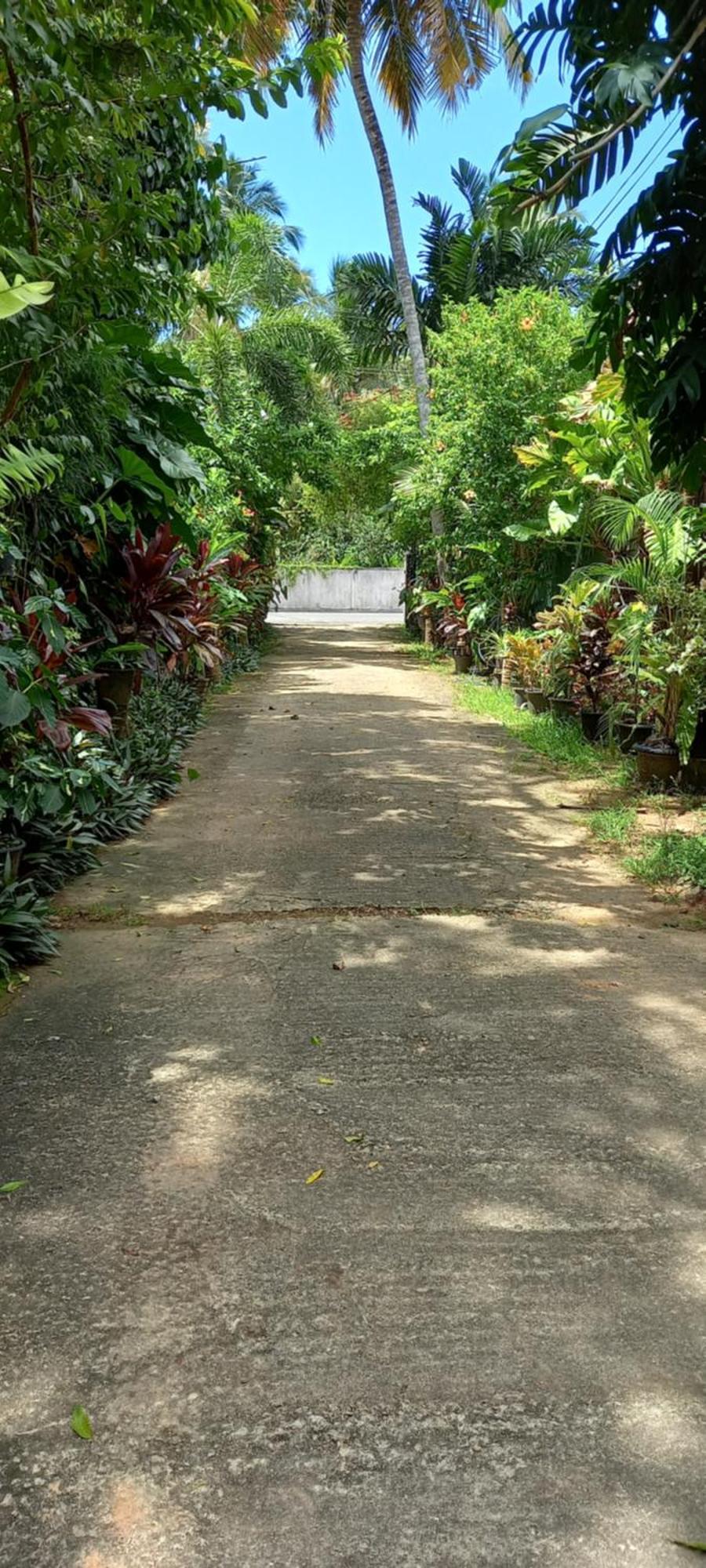Nooit Gedacht Holiday Resort Unawatuna Dış mekan fotoğraf
