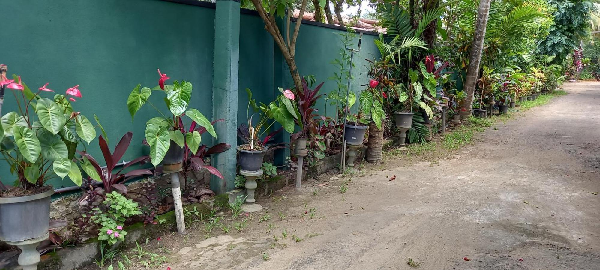 Nooit Gedacht Holiday Resort Unawatuna Dış mekan fotoğraf