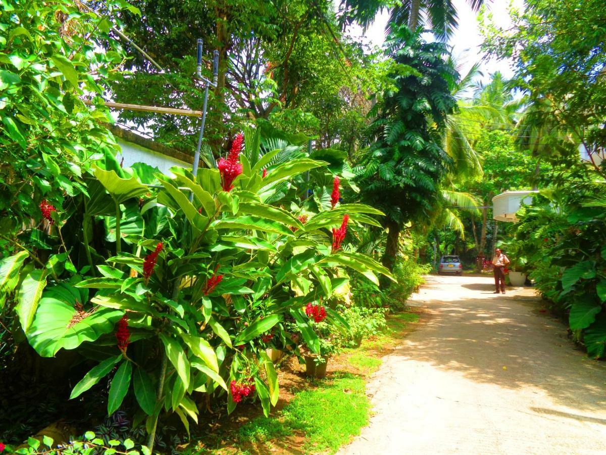 Nooit Gedacht Holiday Resort Unawatuna Dış mekan fotoğraf