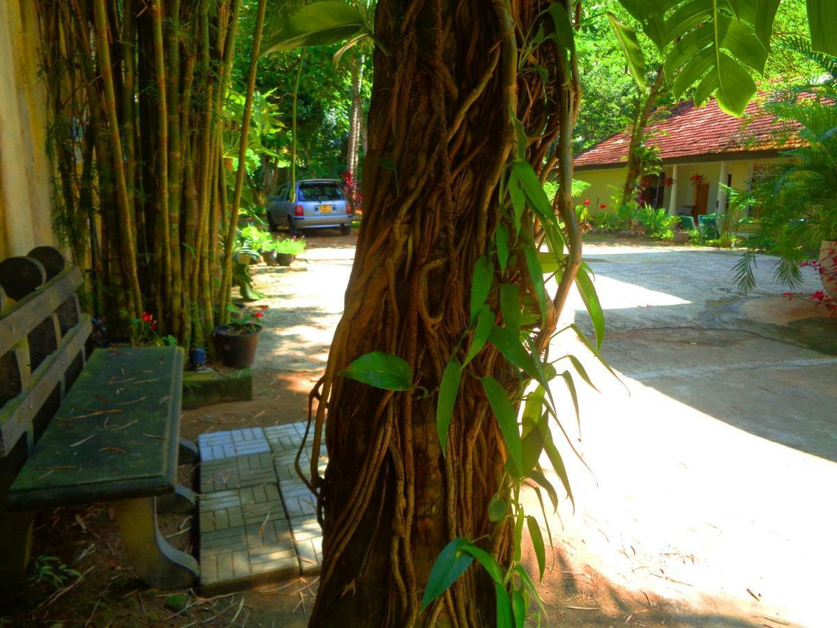 Nooit Gedacht Holiday Resort Unawatuna Dış mekan fotoğraf